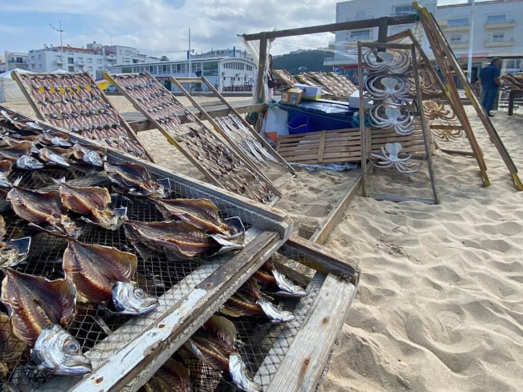 Nazaré: Where the Atlantic Writes Its History | Guide A close-up shot of split mackerel and whole octopus sun-drying on traditional wire mesh panels along the sandy beach of Nazaré.