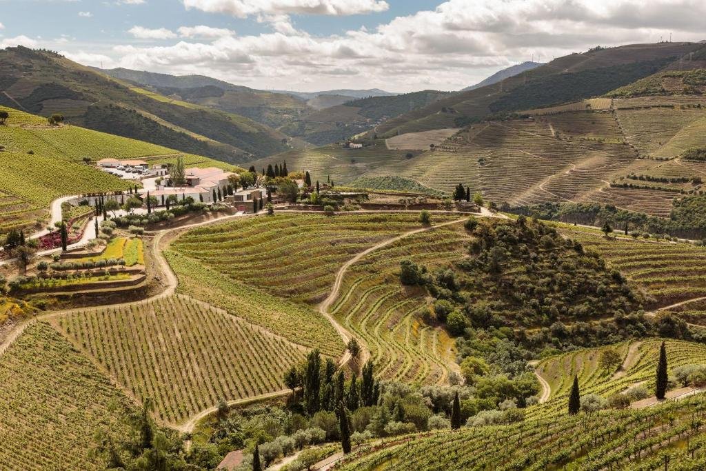 Douro Valley Port Wines: A Portugal Wine Region Guide Aerial view of an iconic Quinta in the Douro Valley surrounded by vineyards