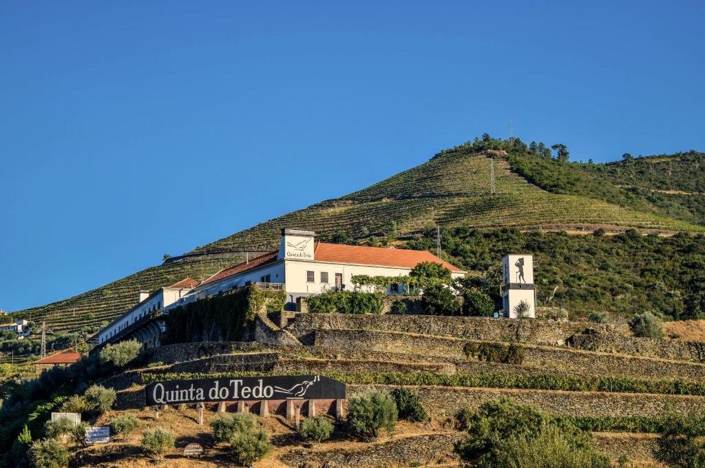 Douro Valley Harvest, Portugal: Best Stays & Dining quinta do tedo