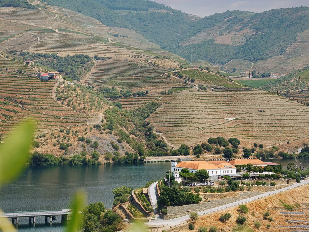A classic panoramic landscape of the winding Douro River, showcasing terraced hillside vineyards and a traditional whitewashed wine quinta estate under a bright sky.