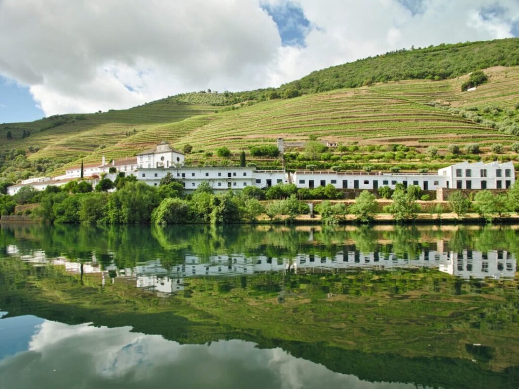 Douro Valley Port Wines: A Portugal Wine Region Guide A serene mirror reflection of a traditional white-walled quinta on the still, glassy water of the Douro River, surrounded by lush green terraced hillsides.
