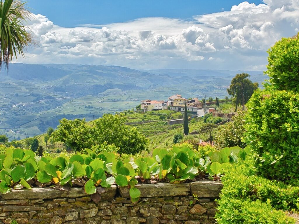 A sweeping view of the Douro Valley hillsides covered in terraced vineyards, framed by the green gardens of Quinta de Santa Júlia on a sunny day with scattered clouds.
