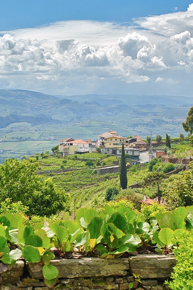 douro valley mountain village vineyards 1.jpg 1.jpg