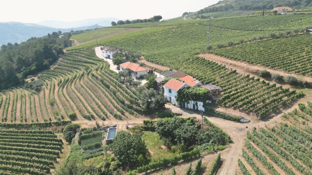 A Guide to the Best Day Tours From Porto An aerial drone photograph of a beautiful traditional Quinta estate in the Douro Valley on a bright sunny day, completely surrounded by sweeping terraces of lush green vineyards