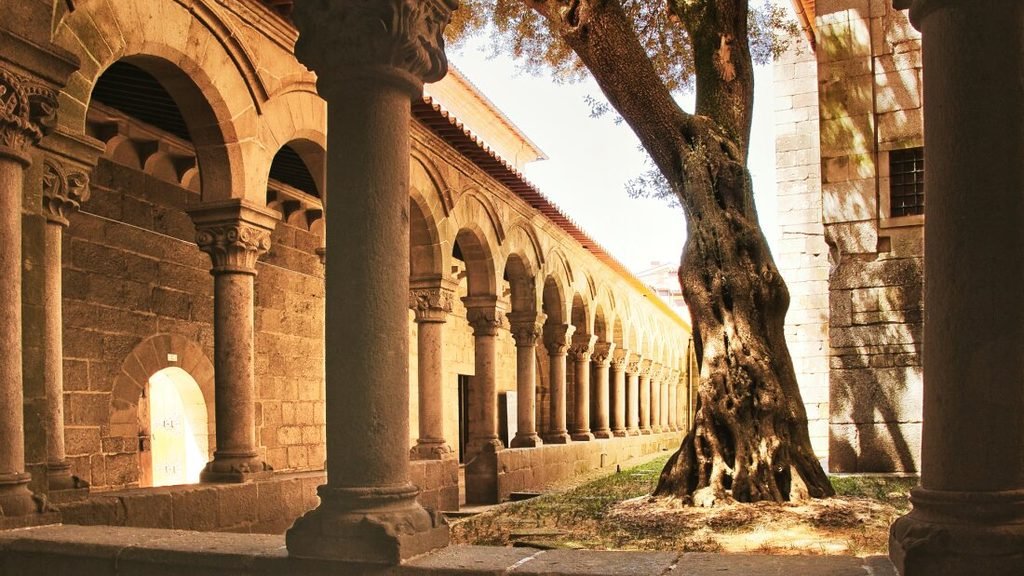 A Guide to the Best Day Tours From Porto A stone cloister arcade inside a monastery courtyard at sunset, featuring a row of warm ochre columns on one side and a large, leafy tree catching the late afternoon golden light on the opposite side.