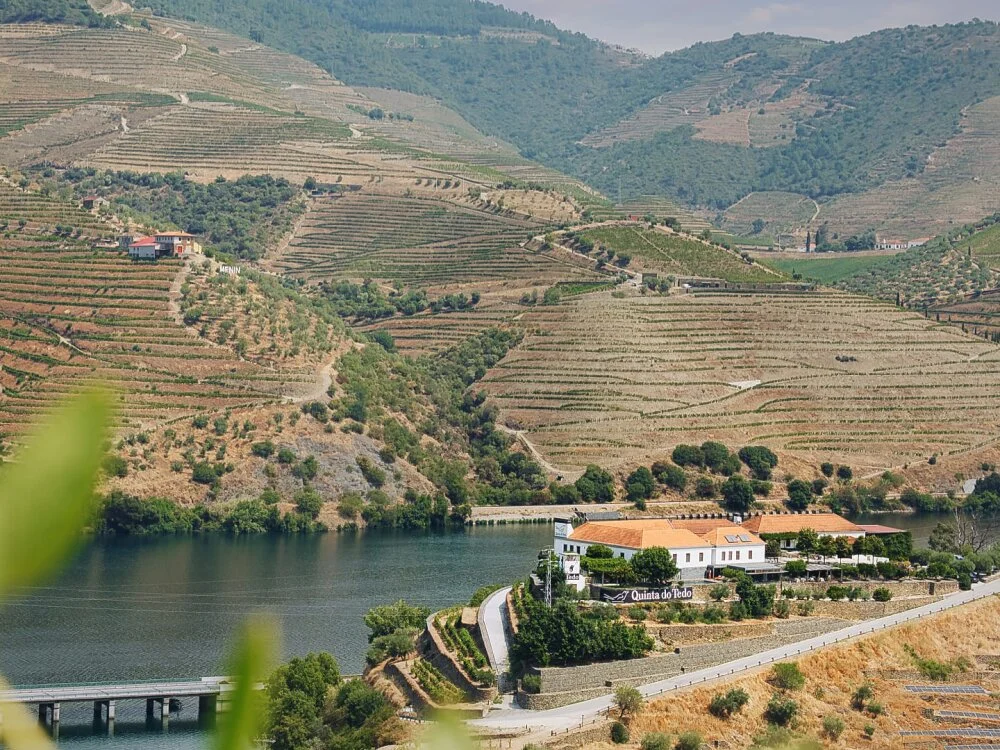 Douro Valley Harvest, Portugal: Best Stays & Dining A classic panoramic landscape of the winding Douro River, showcasing terraced hillside vineyards and a traditional whitewashed wine quinta estate under a bright sky.
