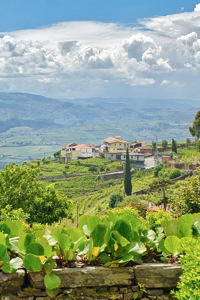 douro valley mountain village vineyards 1.jpg 1.jpg